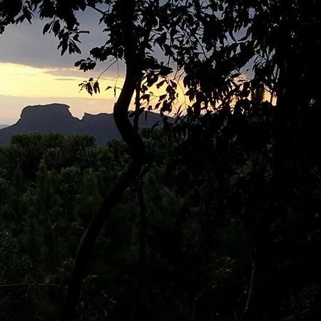 Chale Dos Tucanos- Parede De Vidro Com Linda Vista Campos do Jordão エクステリア 写真
