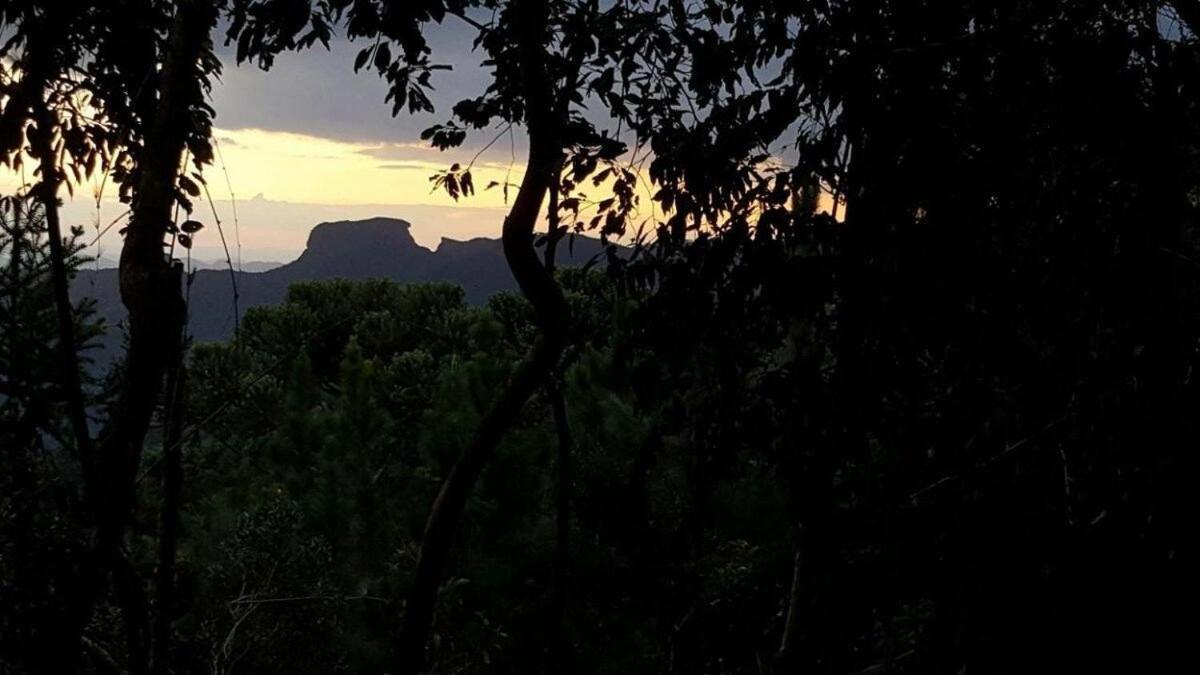 Chale Dos Tucanos- Parede De Vidro Com Linda Vista Campos do Jordão エクステリア 写真