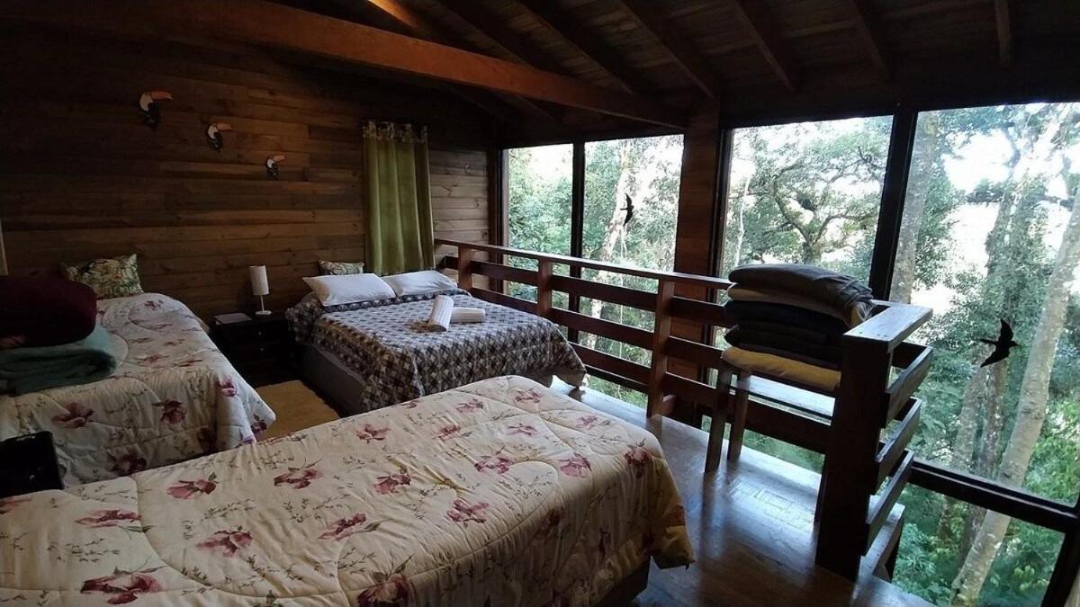 Chale Dos Tucanos- Parede De Vidro Com Linda Vista Campos do Jordão エクステリア 写真